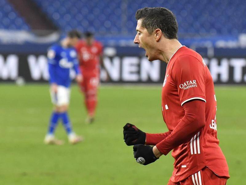 Bayern's Robert Lewandowski roars in delight after his 23rd league goal of the season at Schalke.