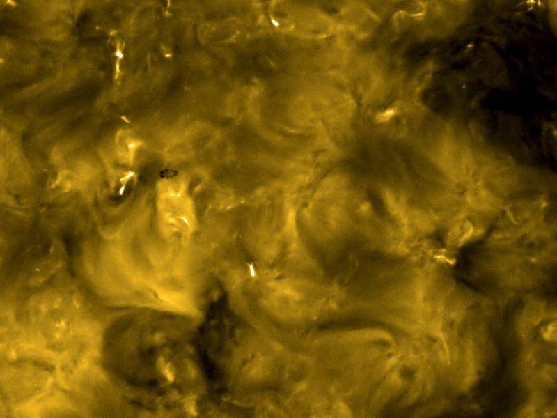 Scientists have dubbed miniature solar flares in newly released images "campfires".
