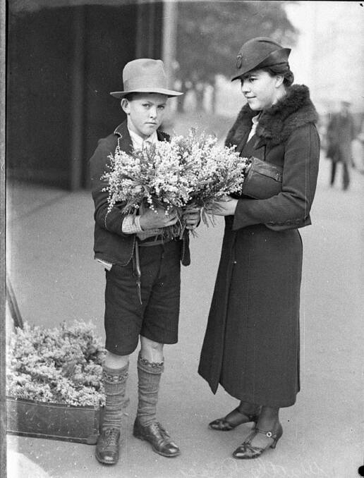 GLORIOUS GREEN AND GOLD: Wattle Seller - Martin Place Sydney 1935. Photograph: State Library of NSW