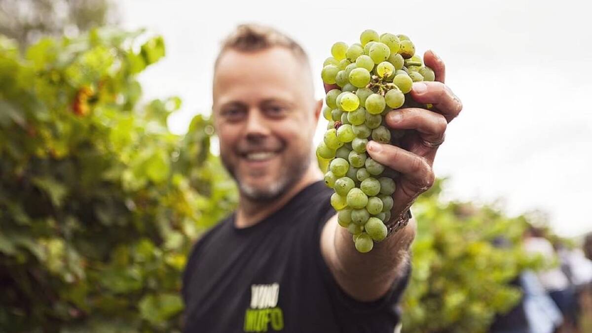 WINE NOT: Vinomofo CEO Justin Dry said the Hunter Homeless Grapes Project was a huge success.