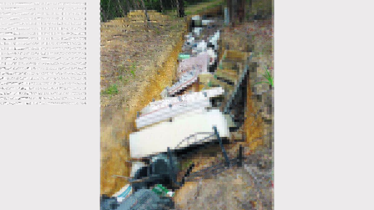 DISGRACE: An illegal dumping site in the Cessnock local government area.
