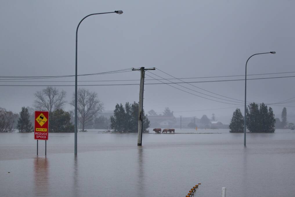 Maitland roads were inundated during the July, 2022, rain event. Picture by Marina Neil