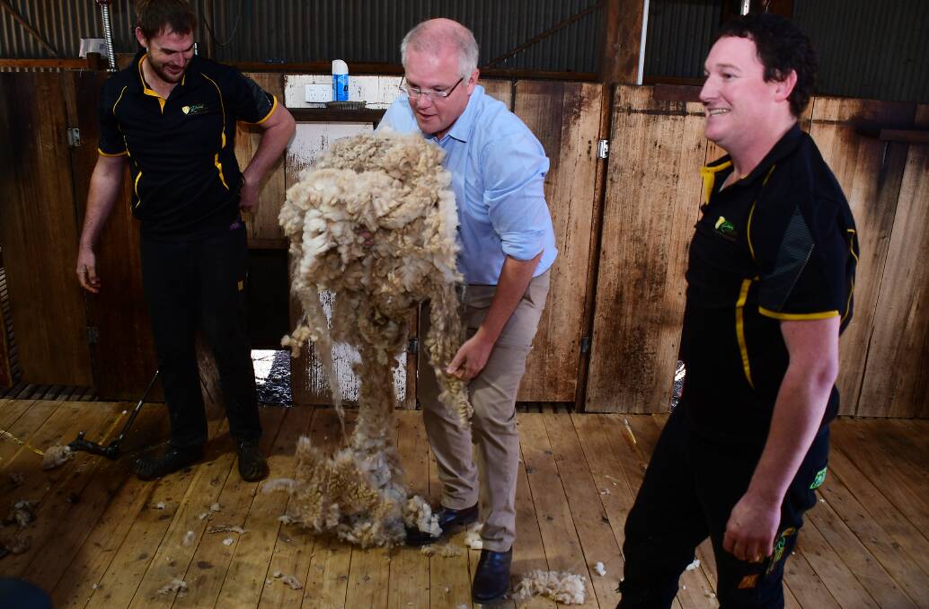 FLEECED: John Fittler and James Amey gave Prime Minister Scott Morrison's sheep shearing skills a tick of approval family farm near Dubbo. Photo: BELINDA SOOLE