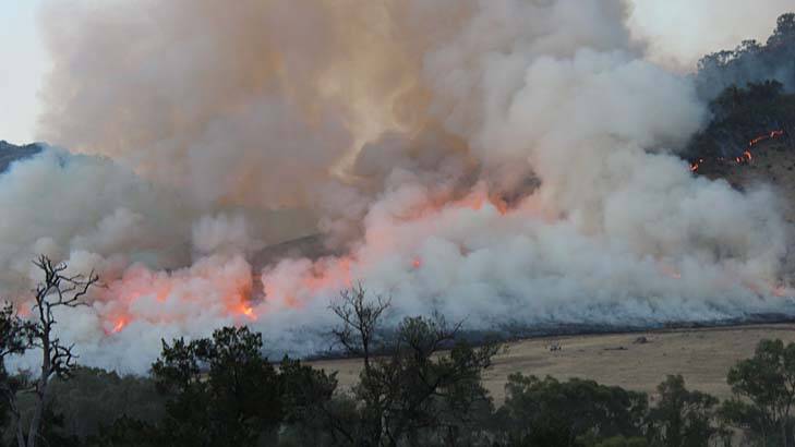 Adding fuel to the fire … a backburn operation engulfs scrubland near Jugiong in the Riverina.